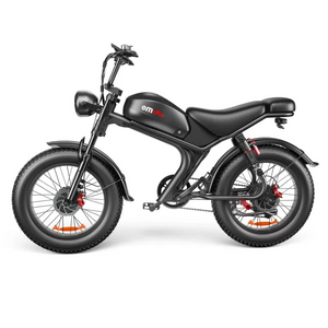 Emoko C93 Mountain Bike Dual 2 x 1000W Motor 23Ah Battery 20" Fat Tire Electric Bike